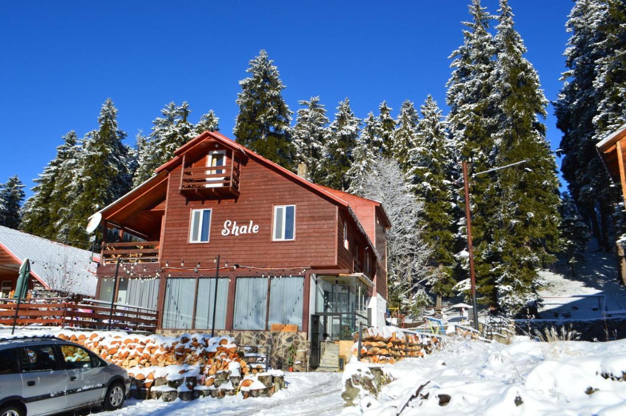 Boutique Hotel Shale Bakuriani Exterior photo